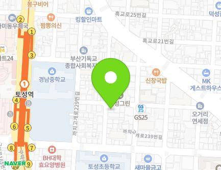 16 Kkachigogae-ro 233beon-gil, Seo-gu, Busan, Republic of Korea Map
