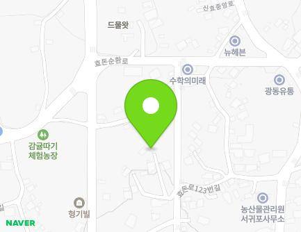 21-1 Hyodon-ro 123beon-gil, Seogwipo-si, Jeju-do, Republic of Korea Map