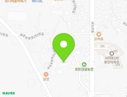 270-1 Hyodonsunhwan-ro, Seogwipo-si, Jeju-do, Republic of Korea Map
