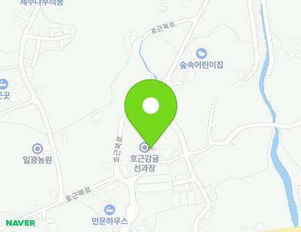 1 Hogeunbuk-ro 62beon-gil, Seogwipo-si, Jeju-do, Republic of Korea Map